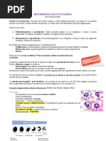 Clase 3. Desórdenes Leucocitarios 2020