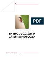 Introducción A La Entomología