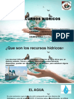 Los Recursos Hidricos Walter Dermit