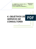 Objetivos Del Servicio de Consultoría