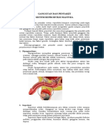 Gangguan Dan Penyakit Sistem Reproduksi