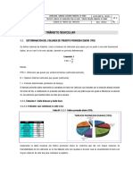 Estudio de Trafico PUENTE MELLIZOS