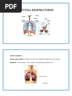 Fichero Enfermeria