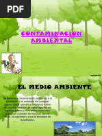 Contaminacionambiental 131125071608 Phpapp01