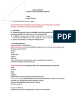 Neuroanatomia 1 Clase