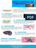 INFOGRAFIA