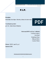 PIP - de Revizuit