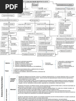 Test y Evaluacion Neuropsicologica