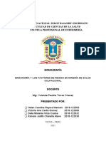 Monografia Salud Ocupacional - Esen