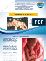 Laminas Definitivas Obstetricia Forense