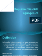 Metaplasia Mieloide Agnogenica 2