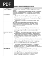 Tabla Del Desarrollo Embrionario