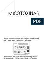 Micotoxinas