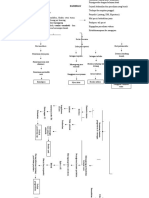 Pathway Post Partum SC