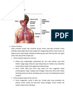 Anatomi Dan Fisiologi Bronkopneumonia