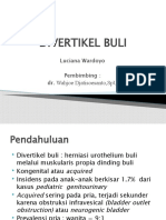 Divertikel Buli