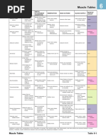 Muscles and Their VAN Supply and Function