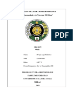 20-090 - Wugi Arya Prabowo - Laporan Praktikum (Bioremediasi)