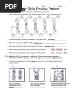 DNA Review Packet