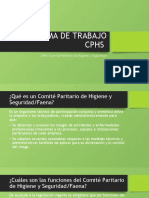 Programa de Trabajo CPHS