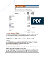 Trial Balance-FinalAccounts-concepts