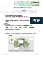 Photosynthesis Notes