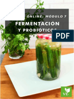 Modulo 7. Fermentación