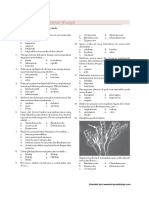 Soal Biologi Bab Jamur Fungi