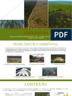 La Deforestacion en La Amazonía