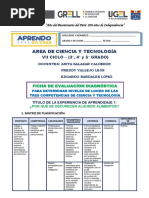 FICHA DE EVALUACIÓN DIAGNÓSTICA DE CIENCIA Y TECNOLOGÍA (3, 4 y 5) PDF