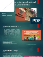 Los Derechos Económicos, Sociales, Culturales y Ambientales en La Jurisprudencia Del Tribunal Constitucional Del Perú