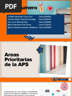 Areas Prioritarias en Aps