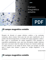 Campo Magnetico Estable