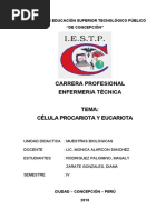 Monografia Celulas Procariota y Eucariota1