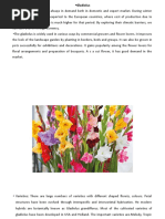 Gladiolus - Importance: Gladiolus Is Always in Demand Both in Domestic and Export Market. During Winter