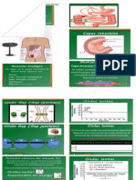 Clase 43 Fisiología Gastrointestinal