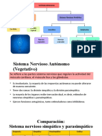 Sistema Nervioso Simpático y Parasimpático