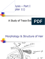 Hair Analysis - Part I (Chapter 11) : A Study of Trace Evidence