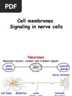 2011 Cell Membranes - Signaling in Nerve Cells