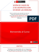 Presentaciones - Atención de Casos en Riesgo y Desprotección Familiar Desde La DEMUNA