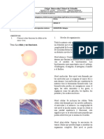 Taller de Refuerzo Grado 6° Sobre La Célula y Sus Funciones 2020 PDF