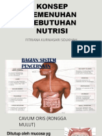 Kebutuhan Nutrisi