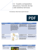 Actividad 2 - Cuadro Comparativo Sobre La Estructura