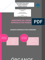 Anatomía Aparato Reproductor Femenino