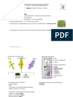 Introduction Mycologie
