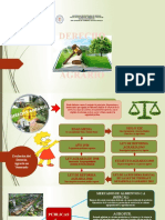 Mapa - Mental - Derecho Agrario