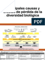 Principales Causas de Perdida de La Biodiversidad-2