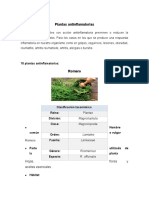 Plantas Antinflamatorias