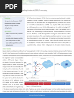 GPRS Tunneling Protocol (GTP) Processing: Technology Brief