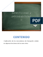 Permeabilidad II